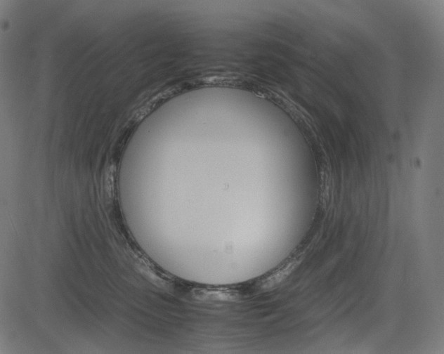 X0000085230475200703090901