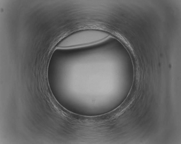 X0000085230481200703090900