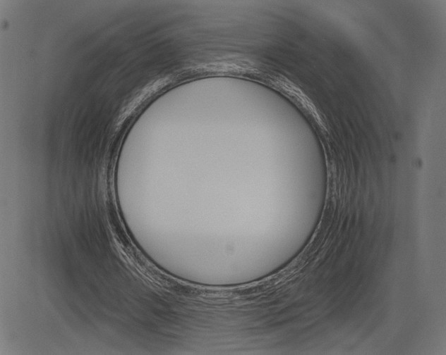 X0000085230482200703090900