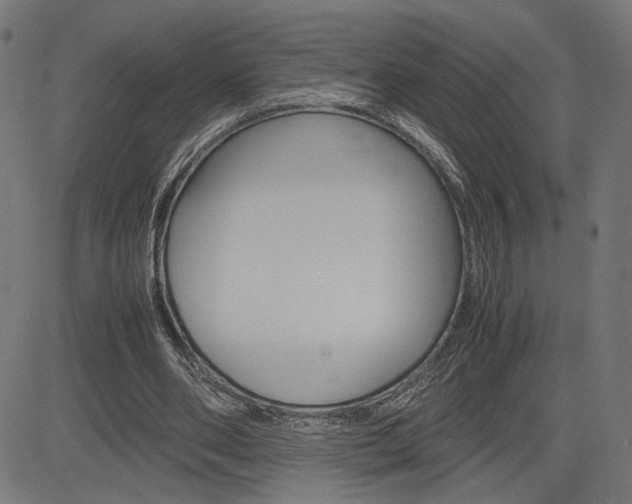 X0000085230486200703090900