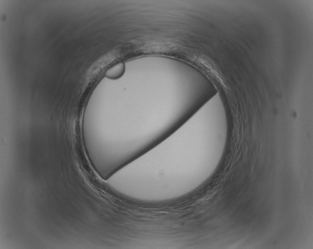 X0000085230491200703090900