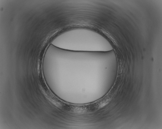 X0000085230494200703090900