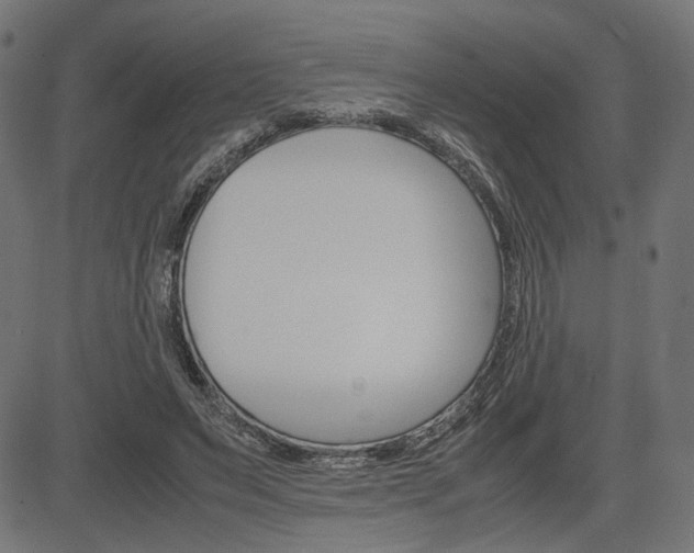 X0000085230495200703090900