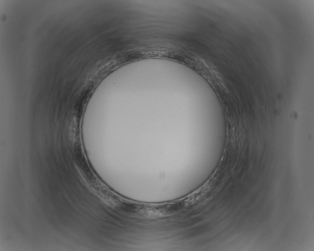 X0000085230498200703090900