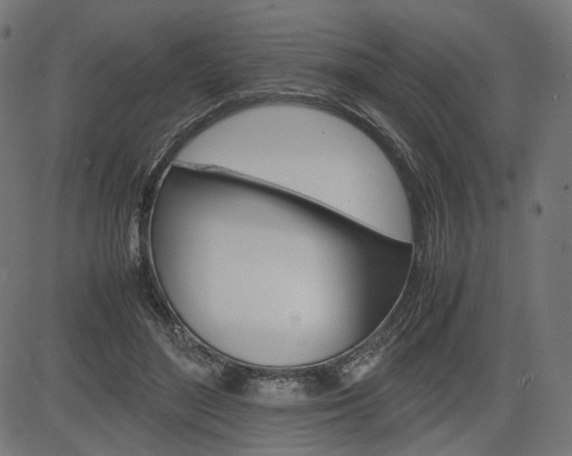 X0000085230500200703090900