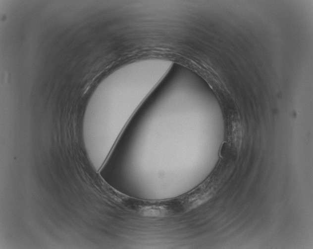 X0000085230508200703090900