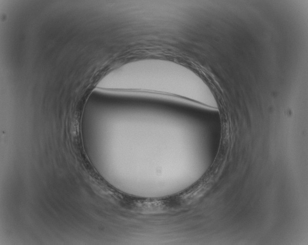 X0000085230517200703090900