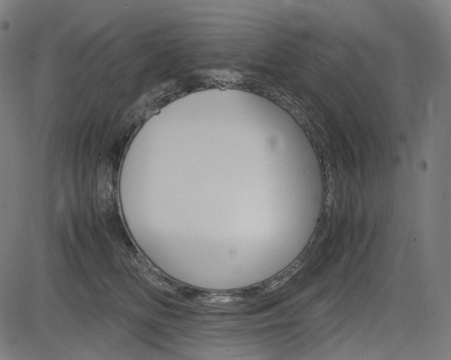 X0000085230518200703090900