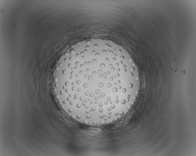 X0000085230519200703090900