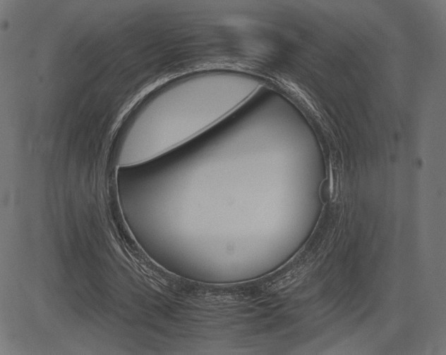 X0000085230531200703090859
