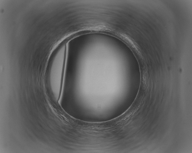 X0000085230532200703090859