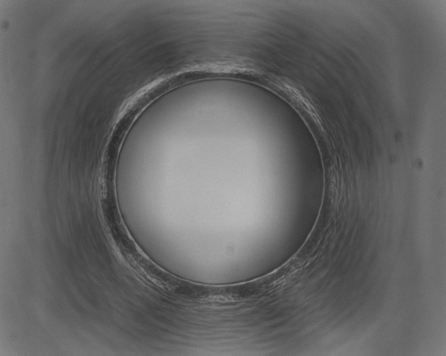 X0000085230536200703090859