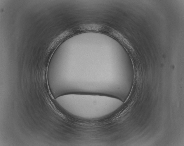 X0000085230537200703090859
