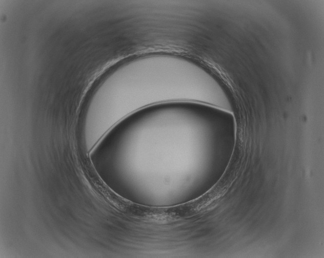 X0000085230540200703090859