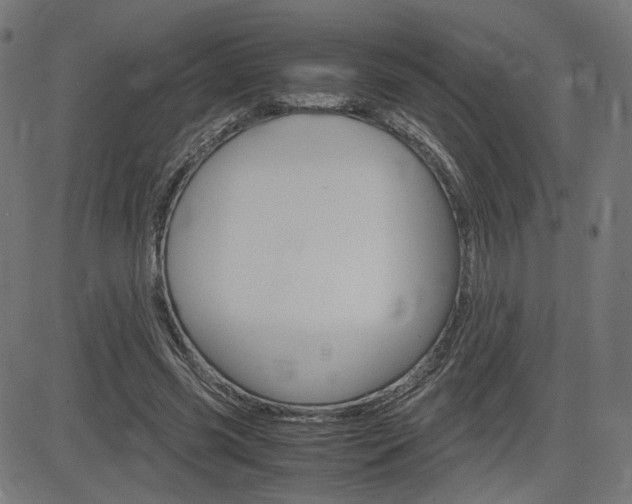 X0000085230541200703090859