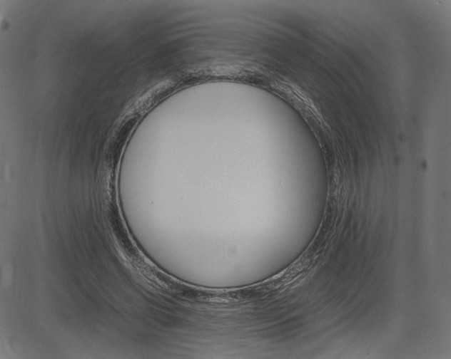 X0000085230542200703090859