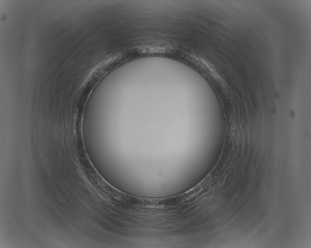 X0000085230543200703090859