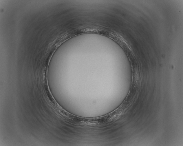 X0000085230545200703090859