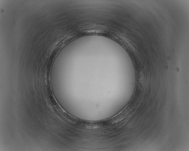 X0000085230547200703090859