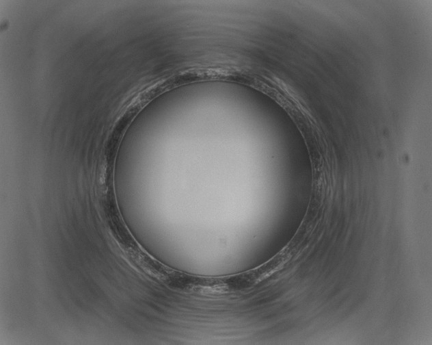 X0000085230548200703090859