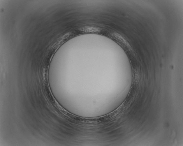 X0000085230549200703090859
