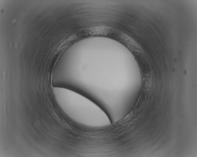 X0000085230550200703090859