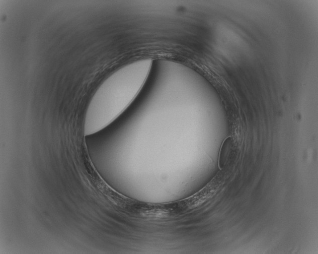 X0000085230551200703090859