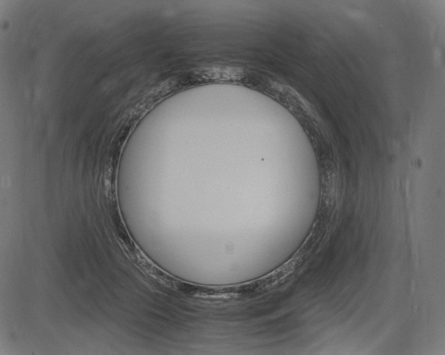 X0000085230553200703090859
