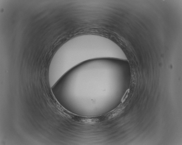 X0000085230558200703090859