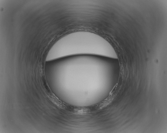 X0000085230564200703090859
