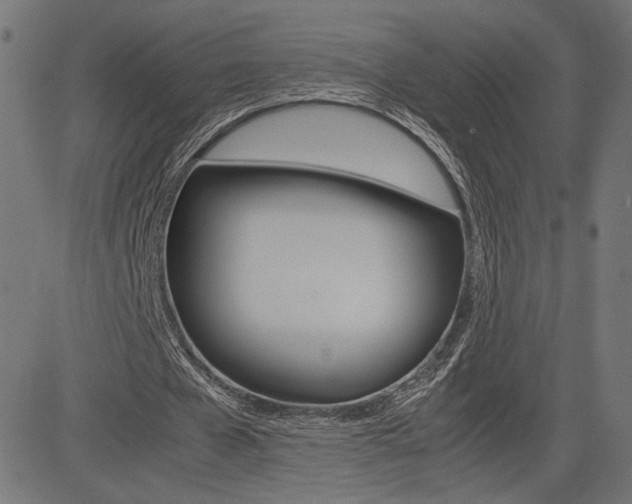 X0000085230577200703090859