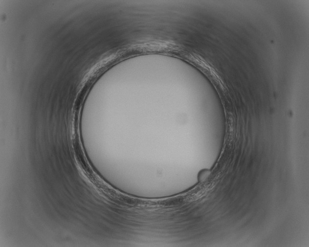 X0000085230582200703090859