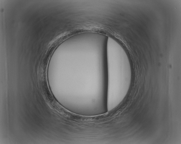 X0000085230587200703090859