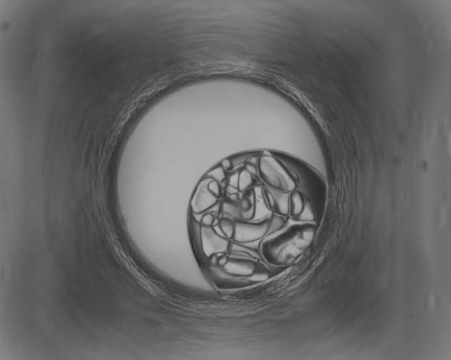 X0000085230589200703090859