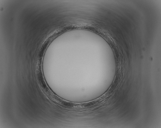 X0000085230591200703090859