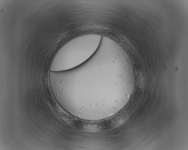 X0000085230598200703090859