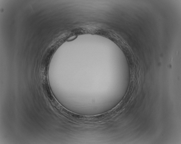 X0000085230599200703090858