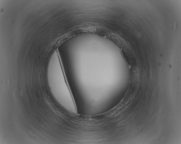 X0000085230600200703090858