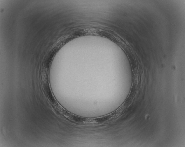 X0000085230603200703090858