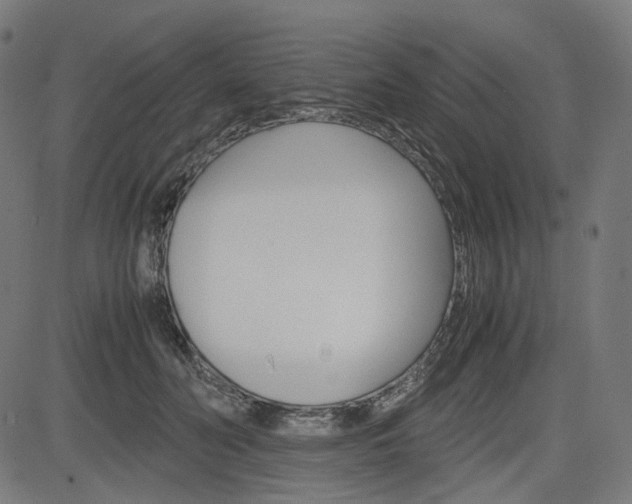 X0000085230606200703090858