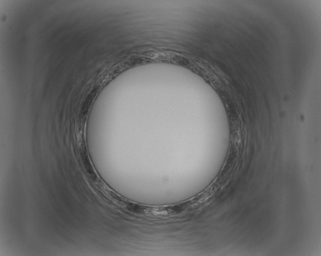 X0000085230607200703090858