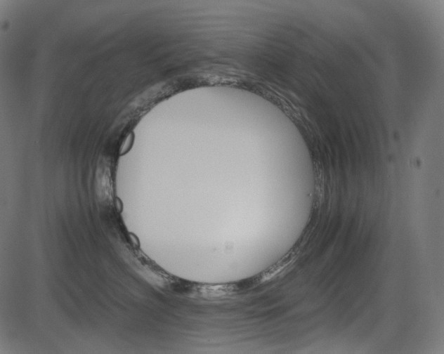 X0000085230622200703090858