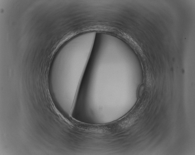 X0000085230625200703090857