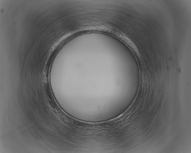 X0000085230628200703090857