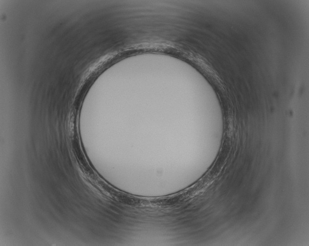 X0000085230632200703090857