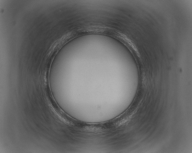 X0000085230633200703090857