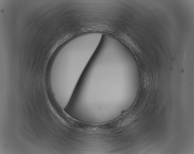 X0000085230634200703090857