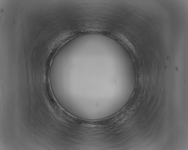 X0000085230635200703090857