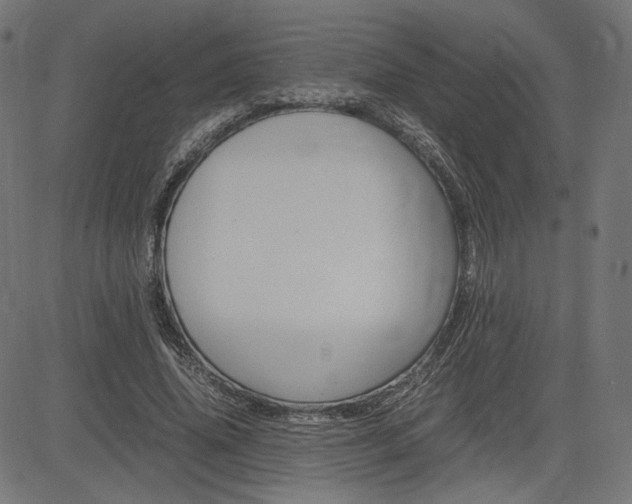 X0000085230636200703090857