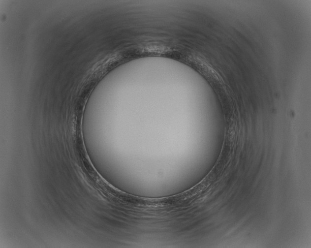 X0000085230639200703090858